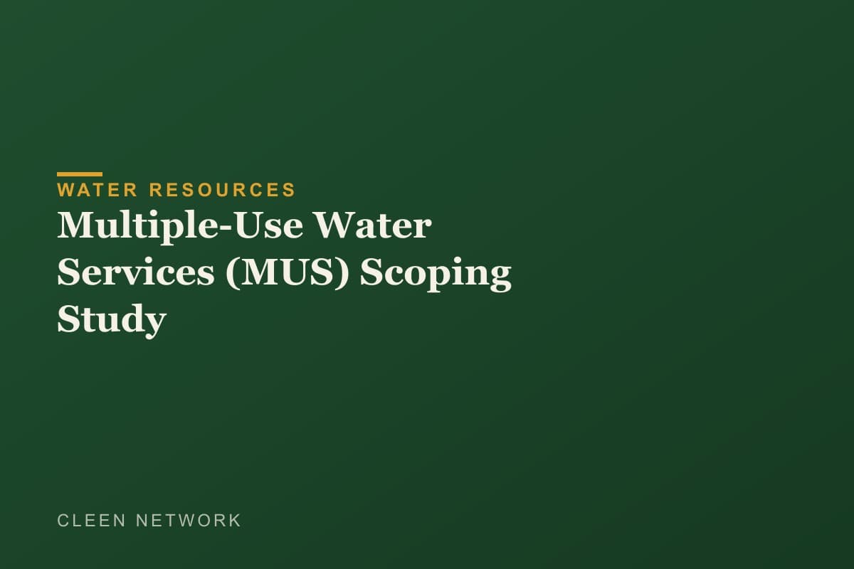 Multiple-Use Water Services (MUS) Scoping Study